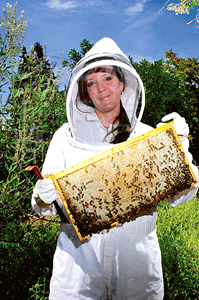 Photo by Joy Godfrey