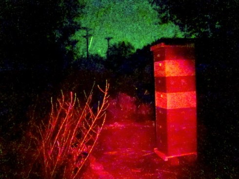 bee hive at night