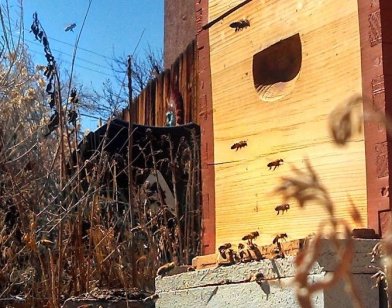 IMG_20130214_131128_065